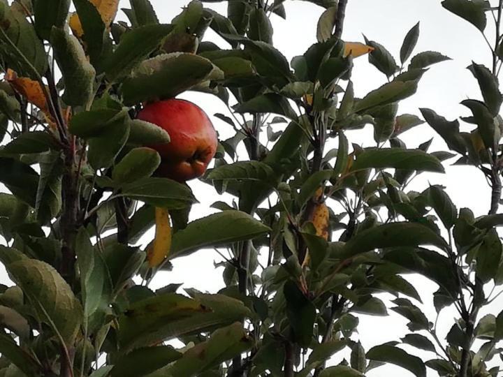 Hotel Vale Do Rodo Residencial Peso da Régua Zewnętrze zdjęcie